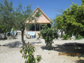 Spacious chalet on a plot of 4000m2 with fruit trees near the beach in Messinia